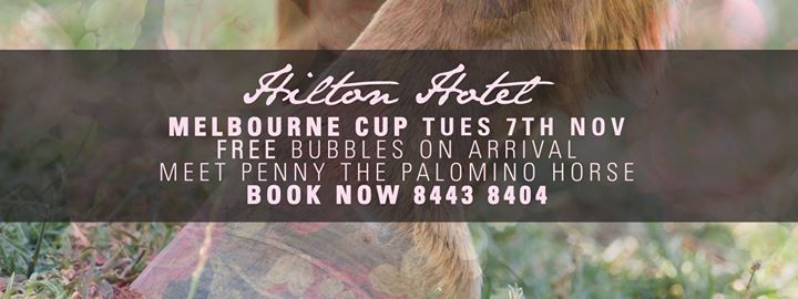 Melbourne Cup X Hilton Hotel