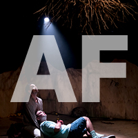 Whitefella Yella Tree