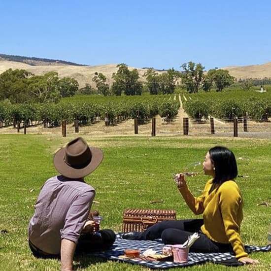 Tickets Private Picnic and Wine Tasting Experience for 1 Adult All t...