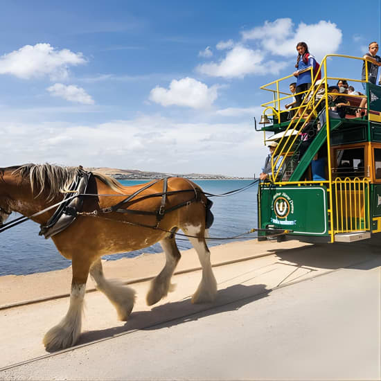 Journey from the lush Adelaide Hills to the breathtaking Fleurieu Peninsula