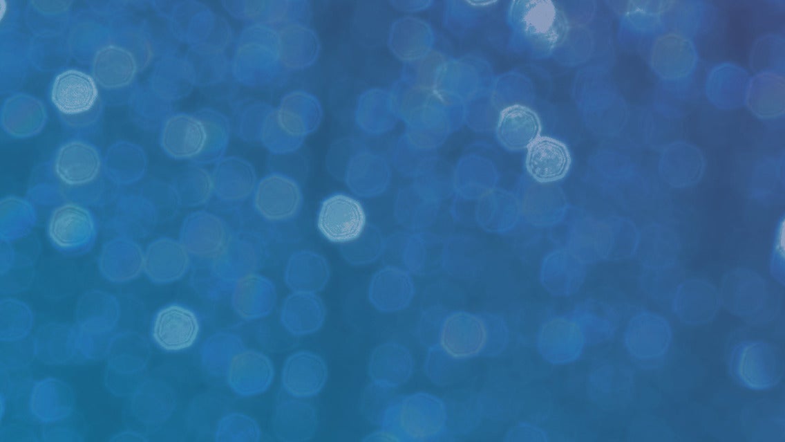 NBL1 2026 Season Launch & Show Night