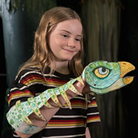 Create Your Own Dinosaur