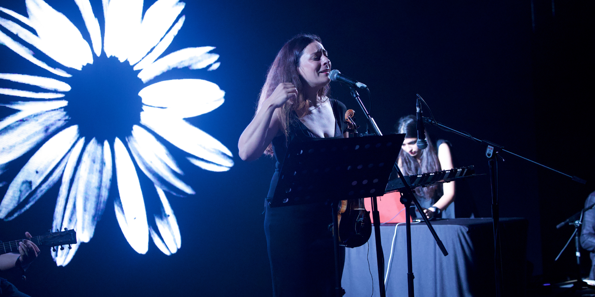 Rise and Fall - Adelaide Fringe Highlight Show