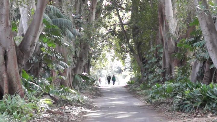 Adelaide Botanic Garden