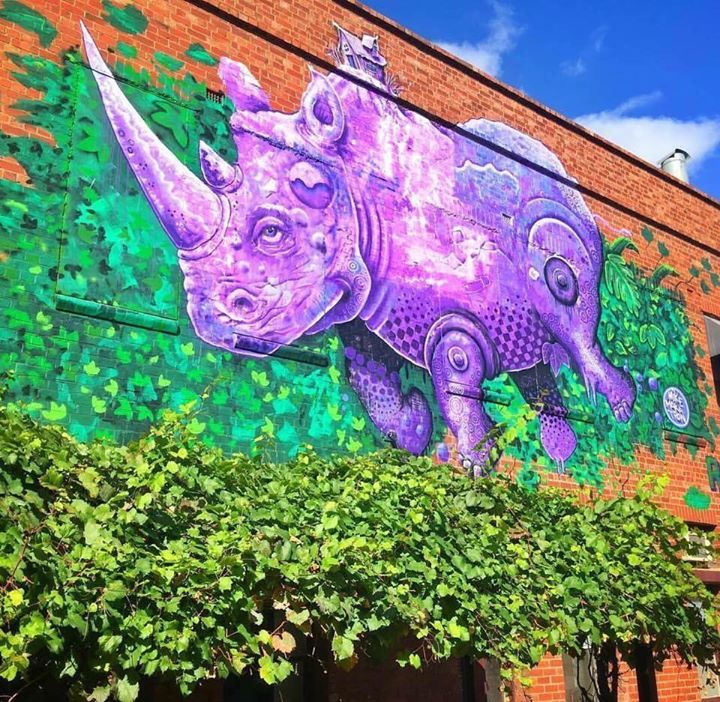 Rhino Room